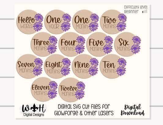 Hello World Baby Milestone Monthly Growth Markers - Personalizable Black Eyed Susan Floral Nursery Sign - Digital SVG Cut File For Glowforge