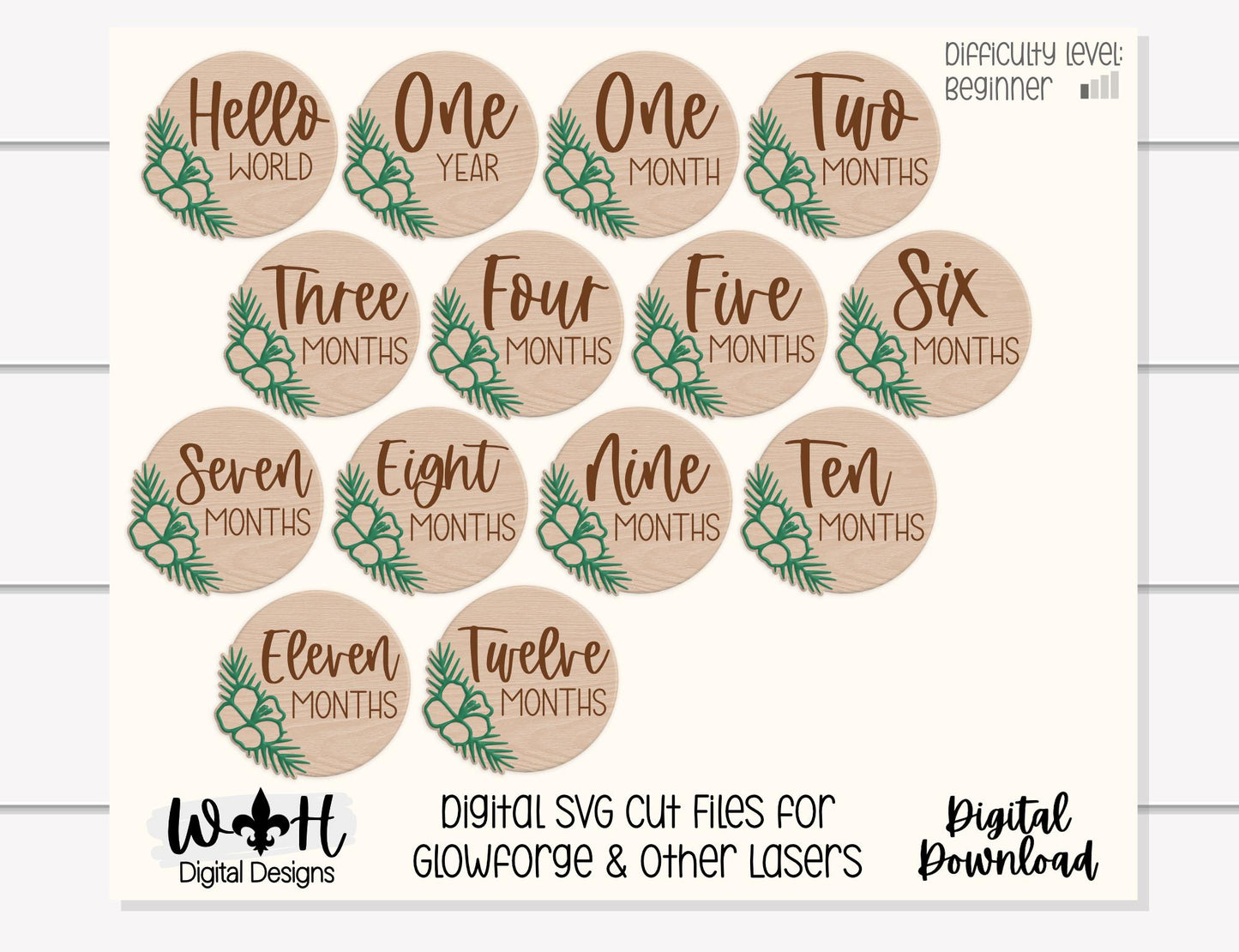 Hello World Baby Milestone Monthly Growth Markers - Personalizable Hibiscus Floral Nursery Signs - Digital SVG Cut File For Glowforge Lasers